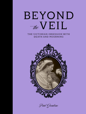 cover image of Beyond the Veil
